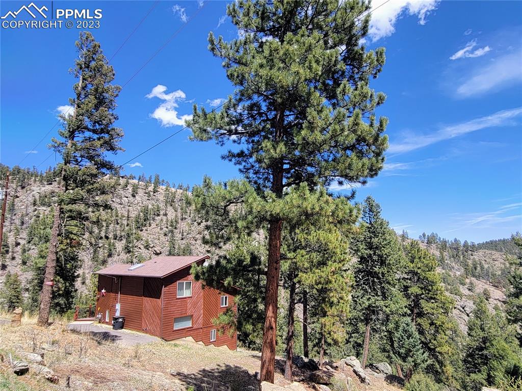 33348 Persistence Avenue Pine, CO 80470 - Photo 38 of 39 a view of a yard with a tree