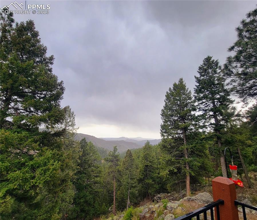 33348 Persistence Avenue Pine, CO 80470 - Photo 39 of 39 a view of a chairs and table in the backyard