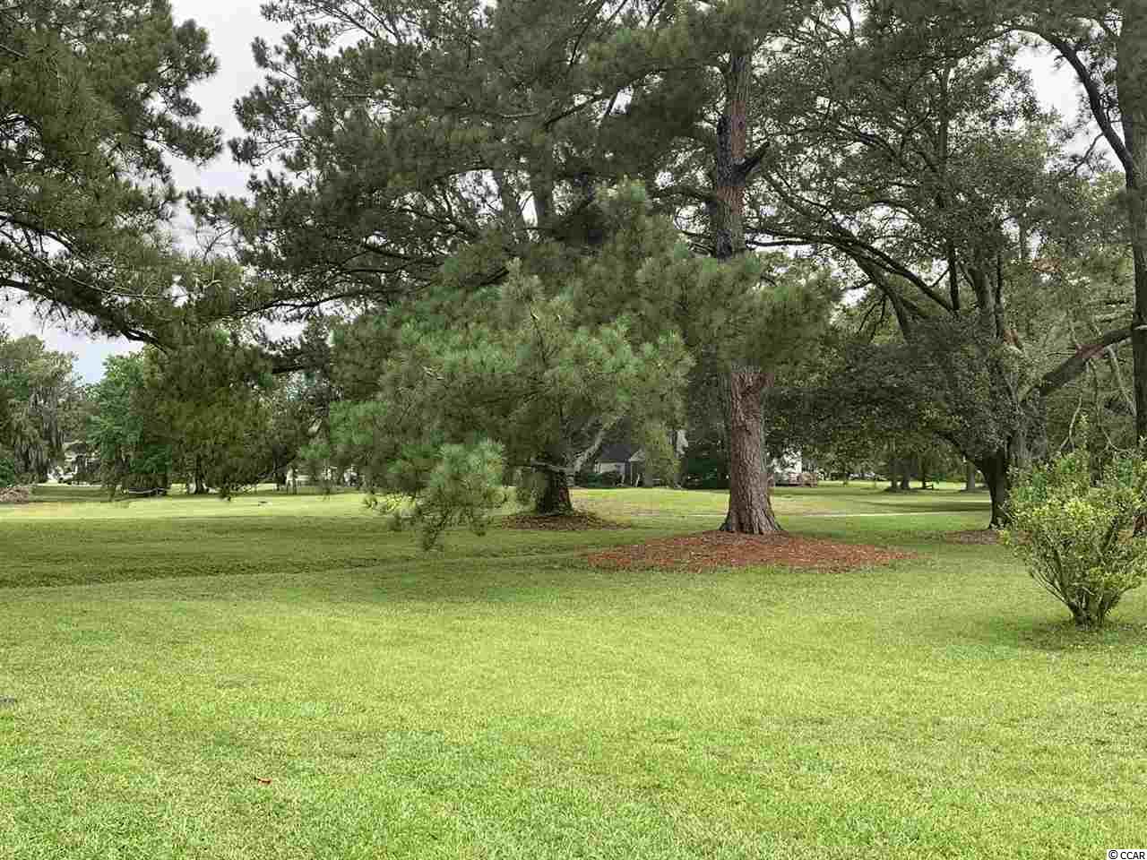 35 Wedgefield Village Road, Unit 8B Georgetown, SC 29440 - Photo 28 of 30 Gallery Image 28