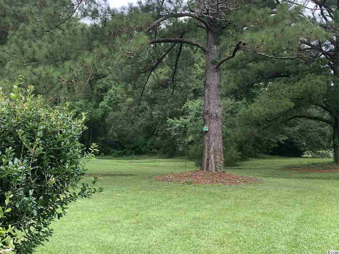 35 Wedgefield Village Road, Unit 8B Georgetown, SC 29440 - Photo 29 of 30 Gallery Image 29