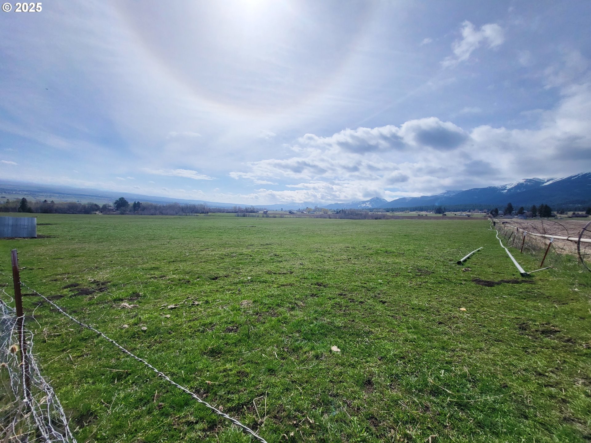 81202 Reavis Lane Enterprise, OR 97828 - Photo 7 of 44 a view of a field with an trees in the background