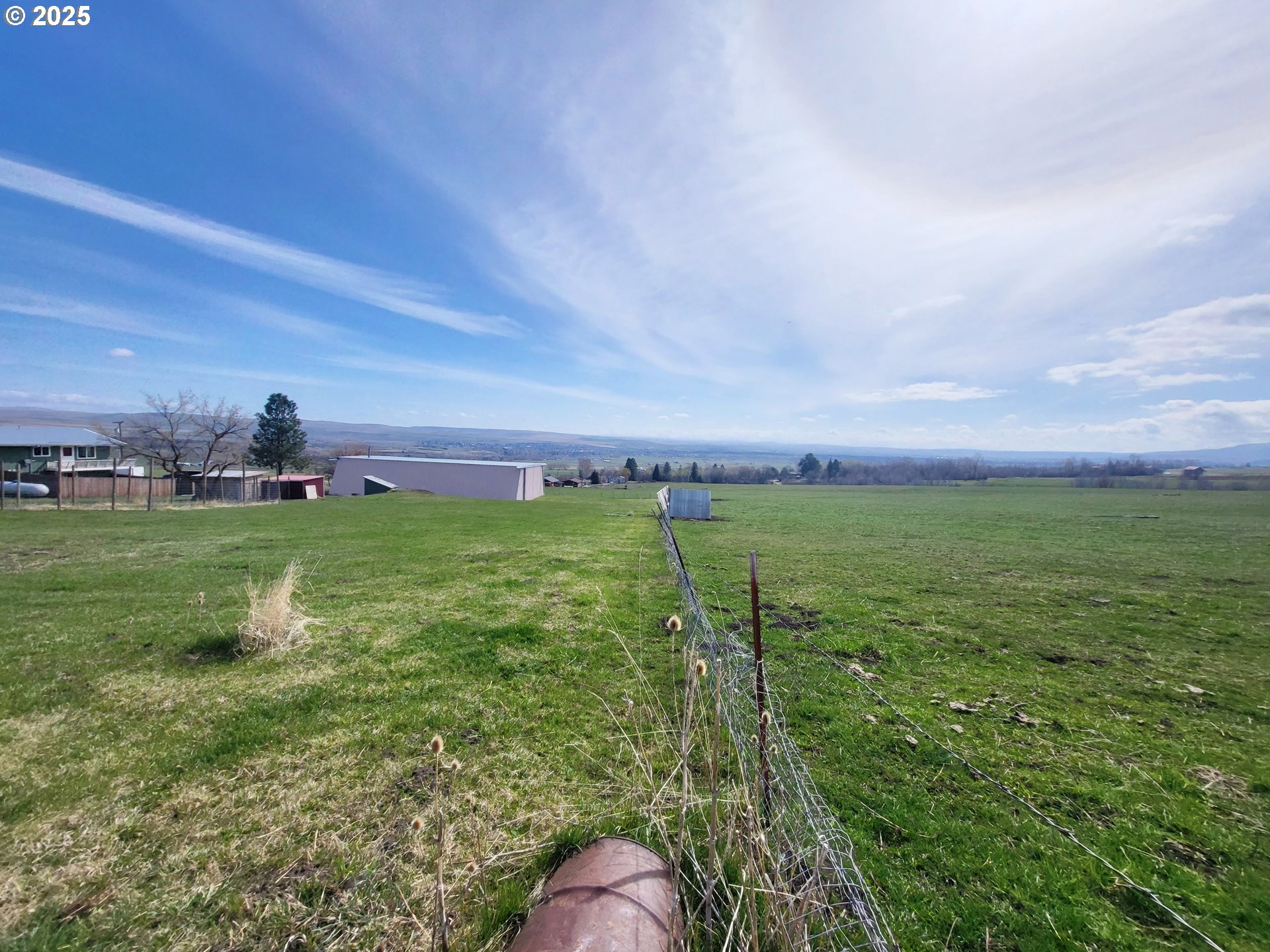 81202 Reavis Lane Enterprise, OR 97828 - Photo 8 of 44 a view of a lush green field