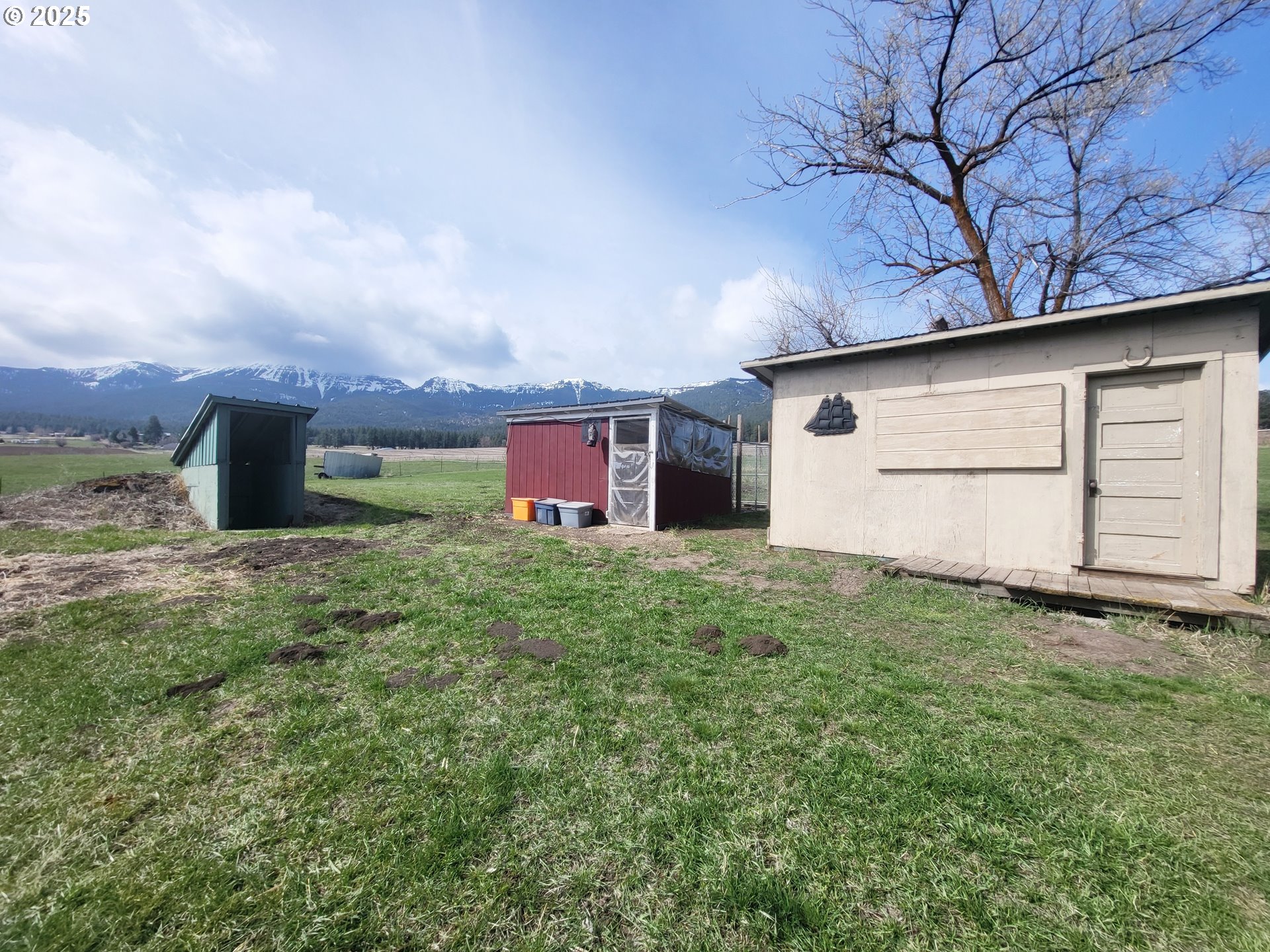 81202 Reavis Lane Enterprise, OR 97828 - Photo 10 of 44 a backyard of a house with lots of green space