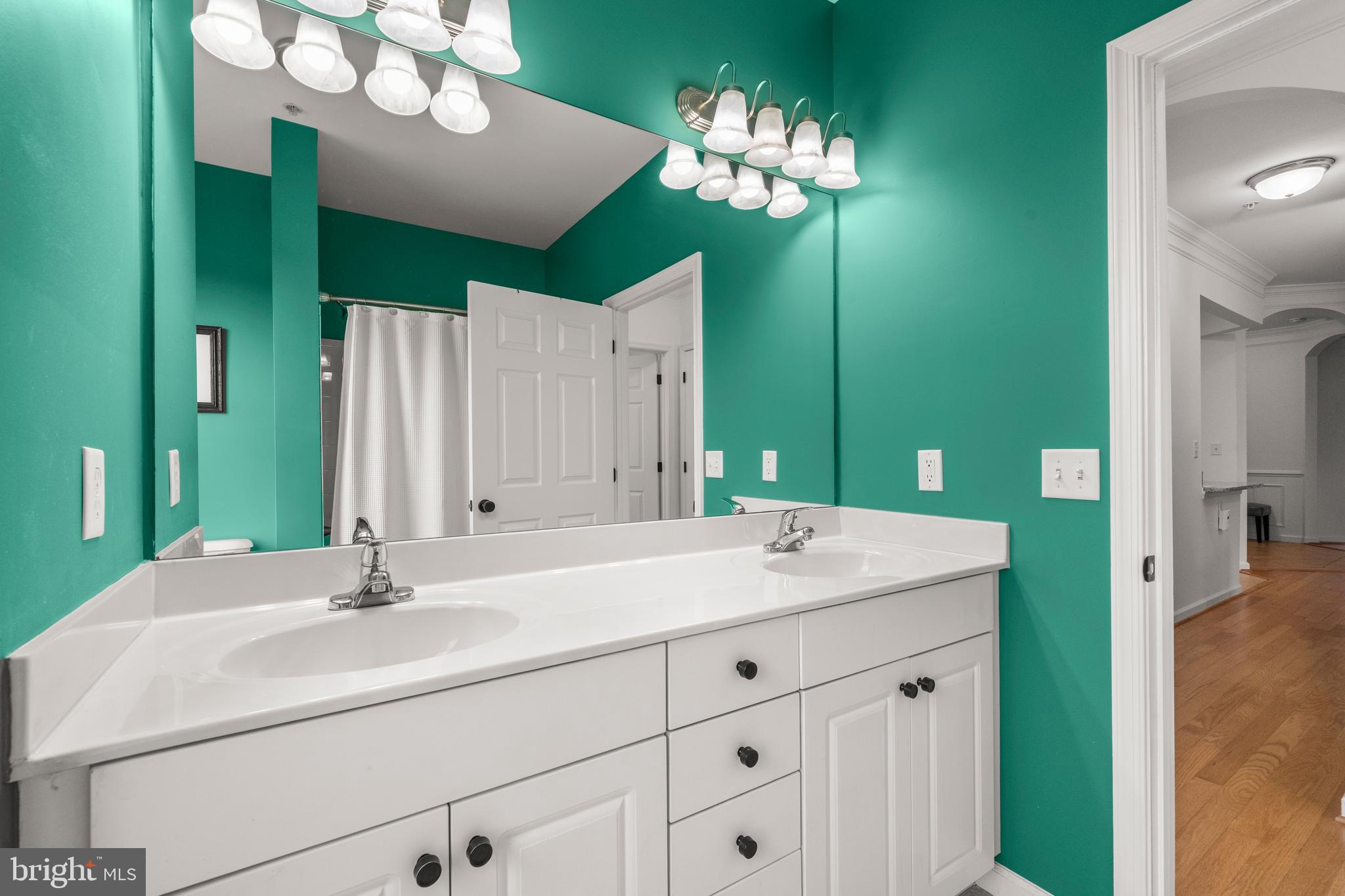 8 Granite Place, Unit 266 Gaithersburg, MD 20878 - Photo 24 of 36 a bathroom with a sink vanity and a mirror