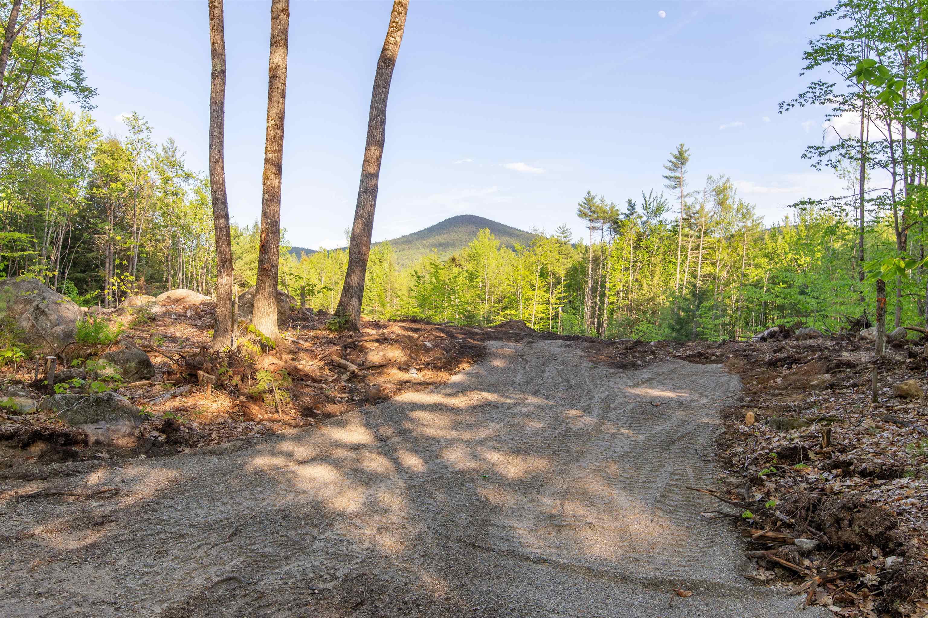 0 Elijah Beede Road Sandwich, NH 03227 - Photo 3 of 28