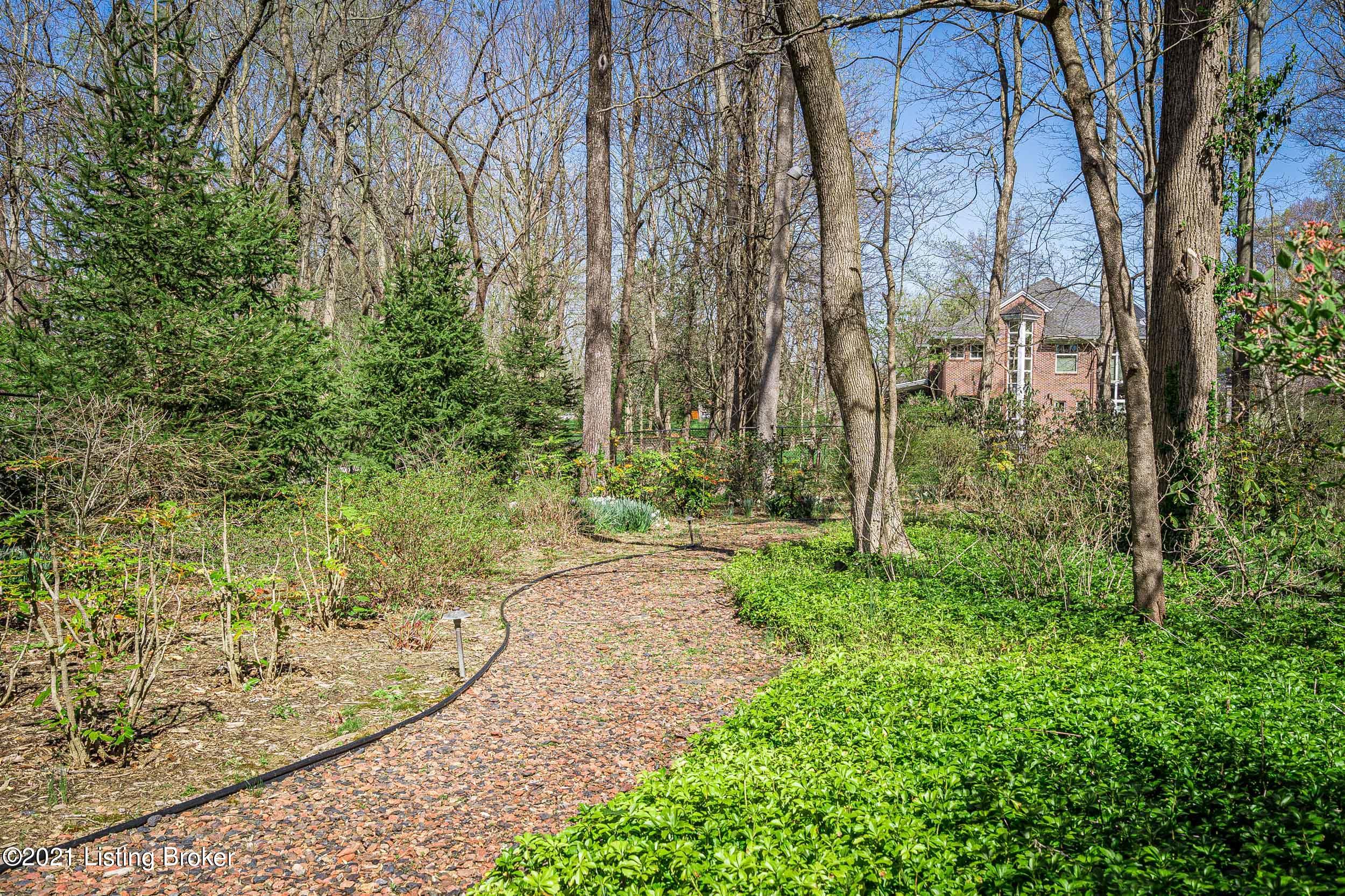 6 Arden Road Glenview, KY 40025 - Photo 53 of 56 Rear Path