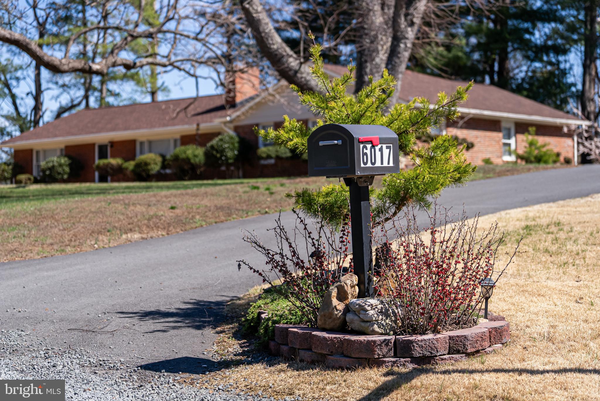 a front view of a house with a yard and tree