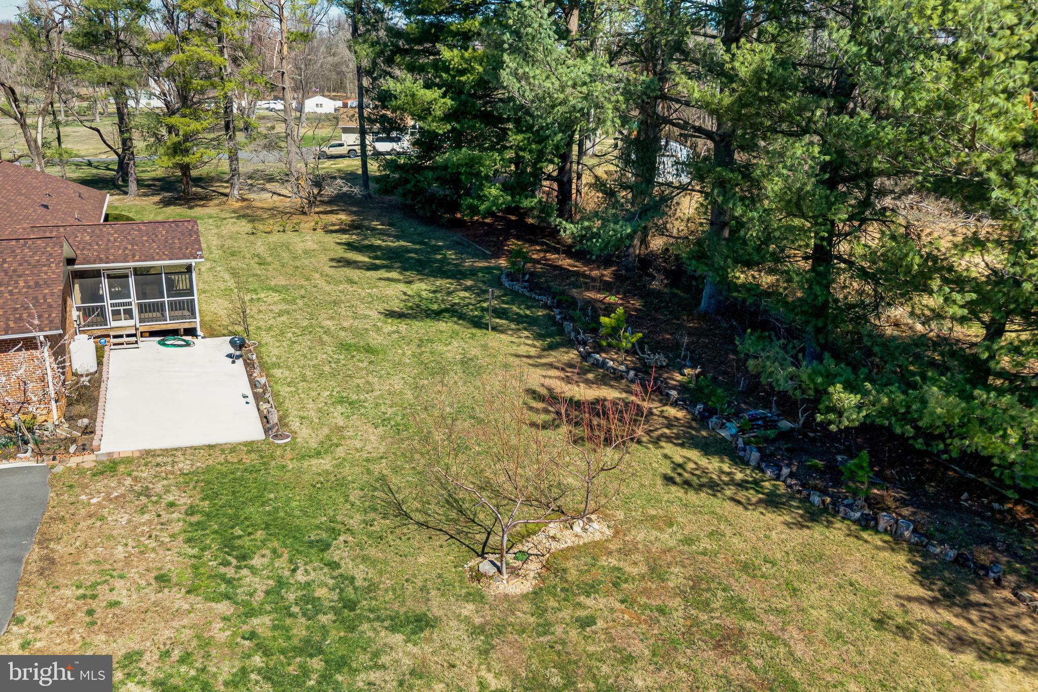 6017 Wheeler Lane Broad Run, VA 20137 - Photo 37 of 45 a view of a yard with plants and large trees