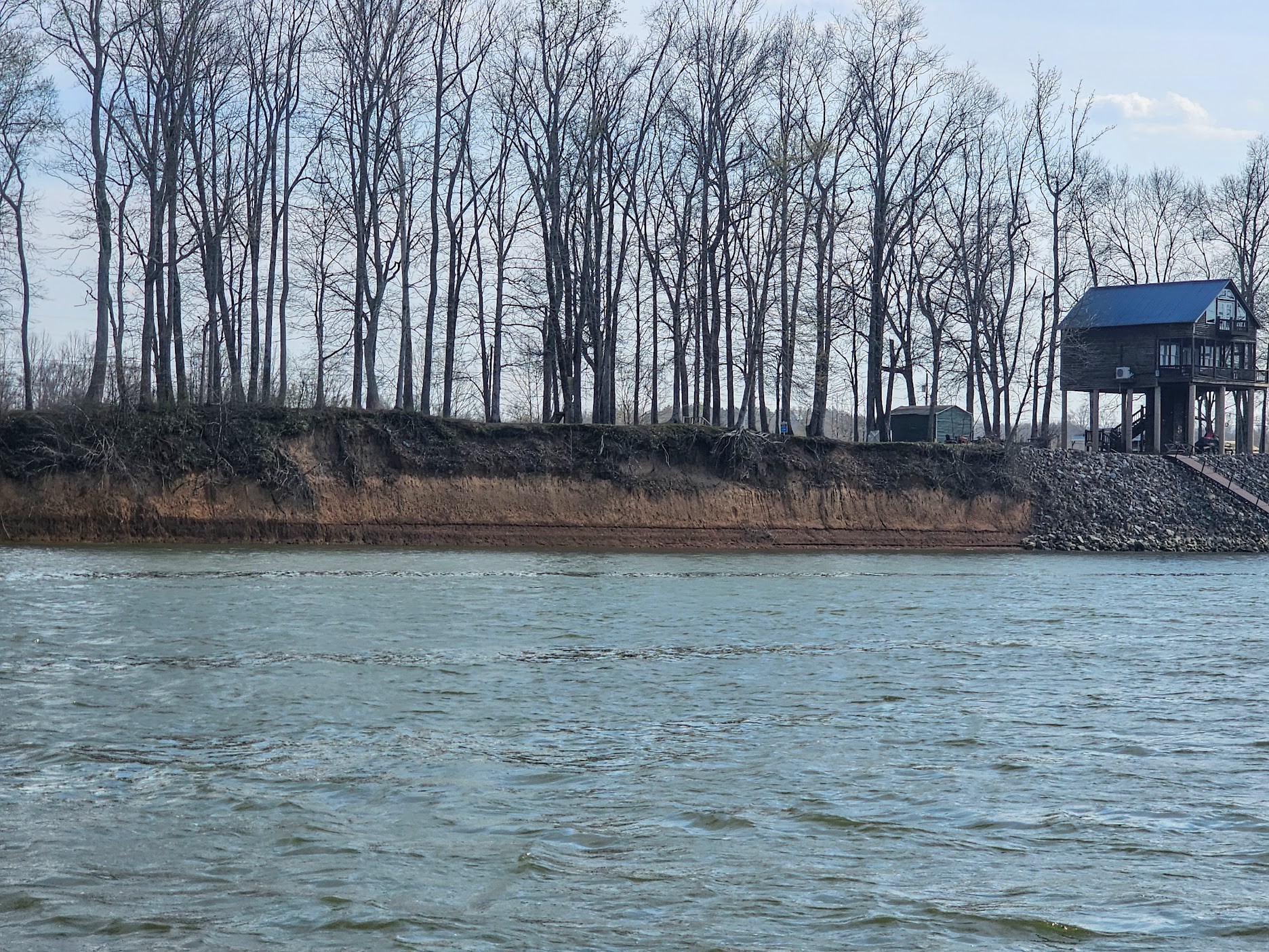 2615 Col James Hardin Road Clifton, TN 38425 - Photo 1 of 19 a view of a yard