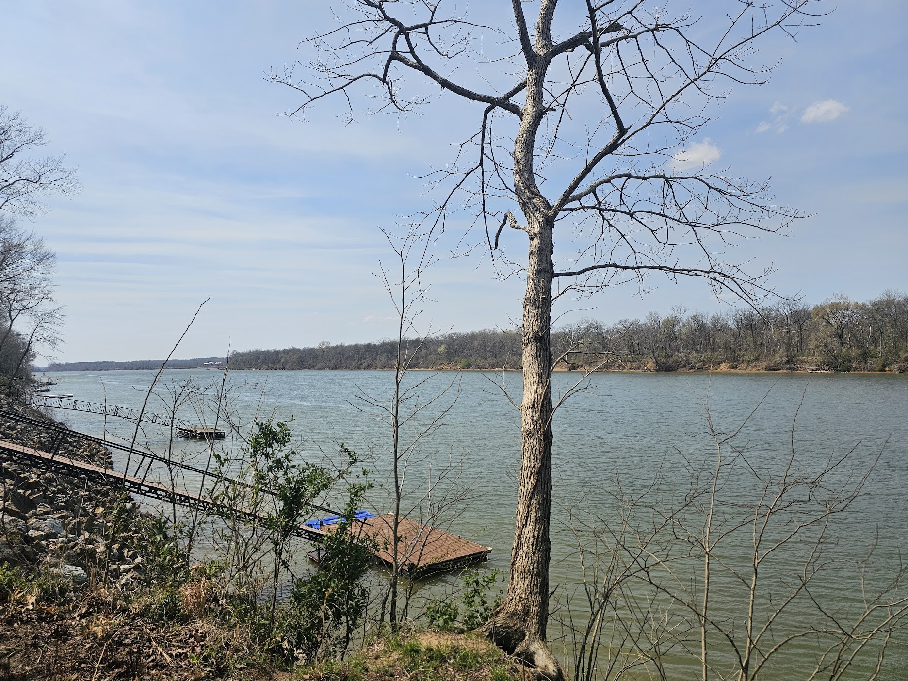 2615 Col James Hardin Road Clifton, TN 38425 - Photo 11 of 19 a backyard of a house with lots of green space