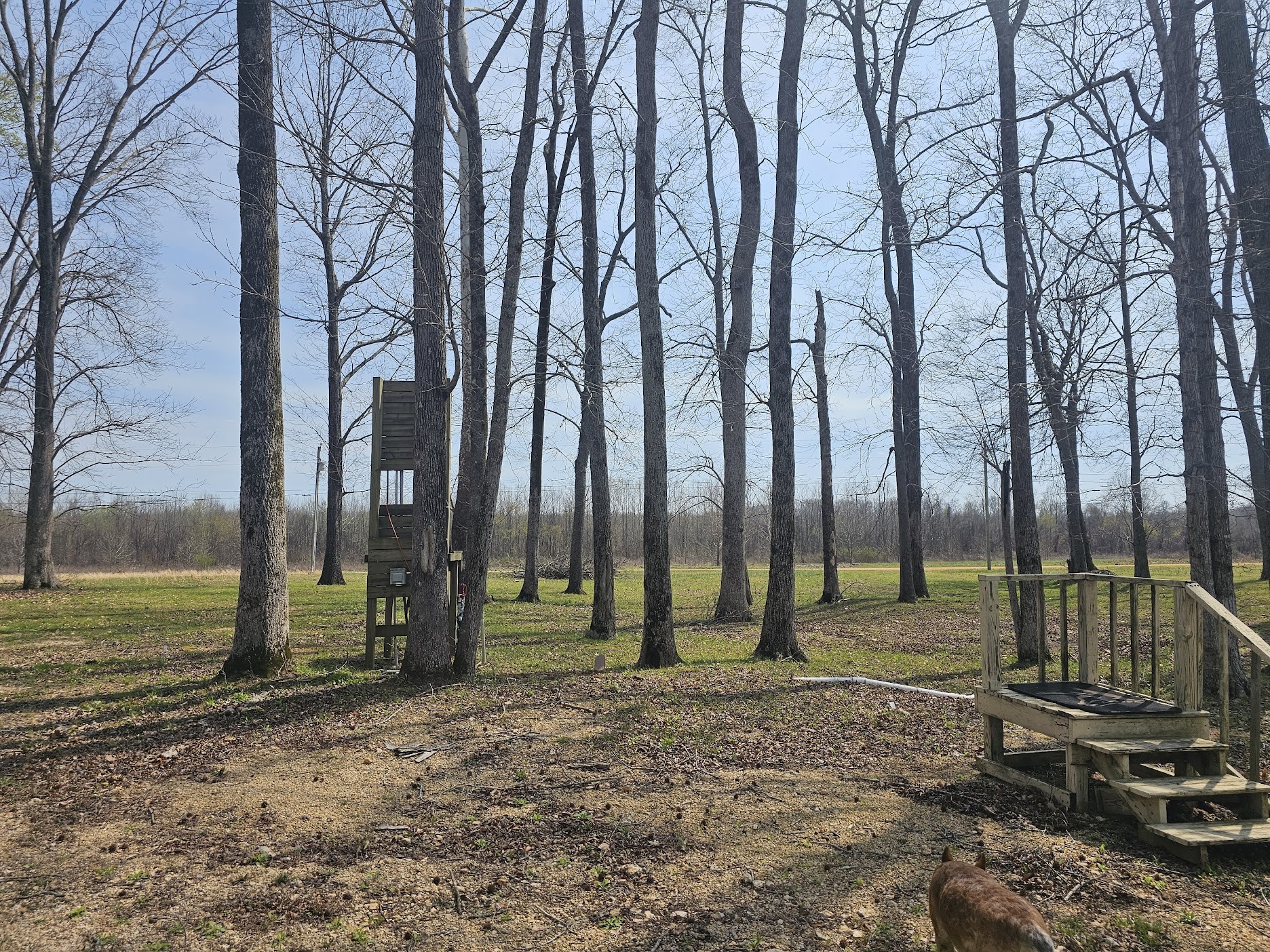2615 Col James Hardin Road Clifton, TN 38425 - Photo 12 of 19 a view of outdoor space with trampoline