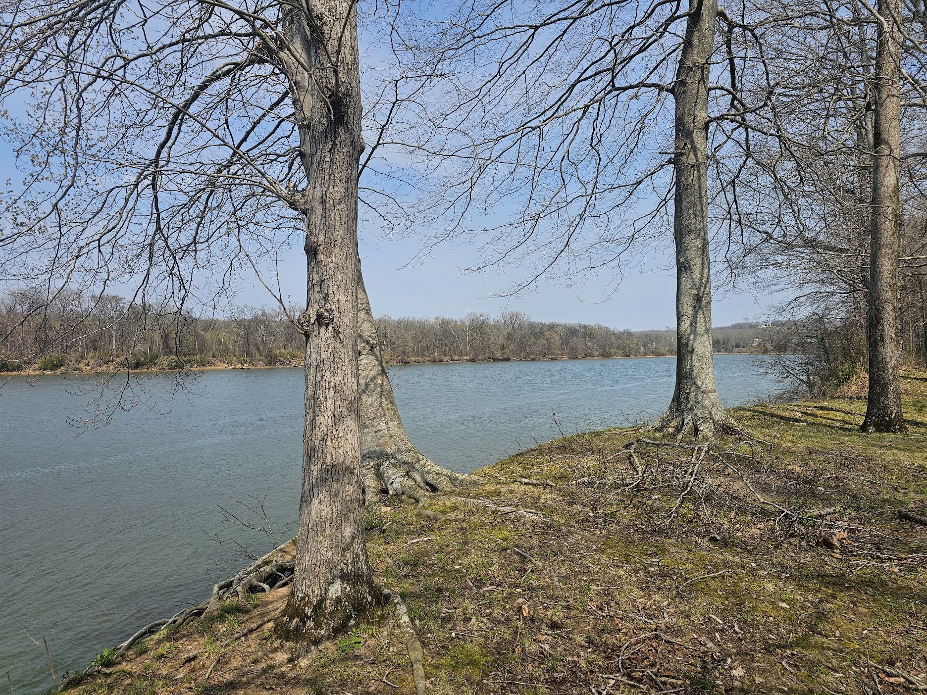 2615 Col James Hardin Road Clifton, TN 38425 - Photo 2 of 19 a view of lake with mountain