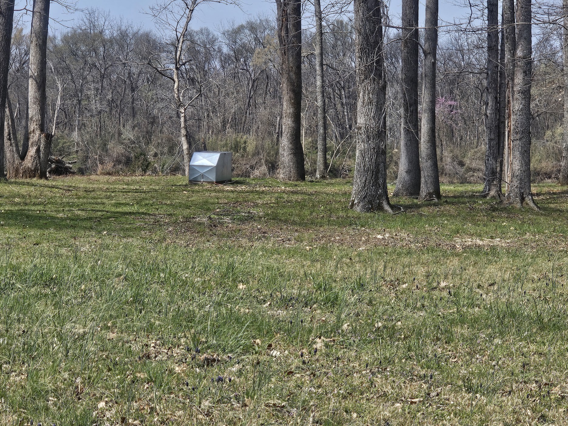 2615 Col James Hardin Road Clifton, TN 38425 - Photo 4 of 19 a backyard of a house with lots of green space