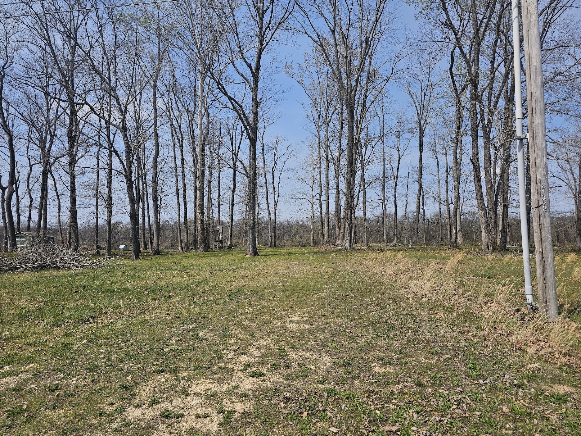 2615 Col James Hardin Road Clifton, TN 38425 - Photo 6 of 19 a view of outdoor space with trees