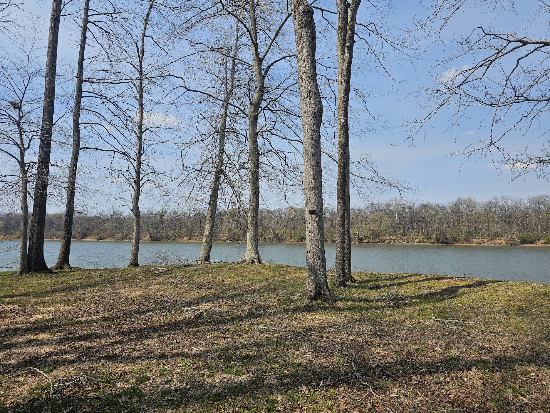 2615 Col James Hardin Road Clifton, TN 38425 - Photo 8 of 19 a backyard of water with tall trees