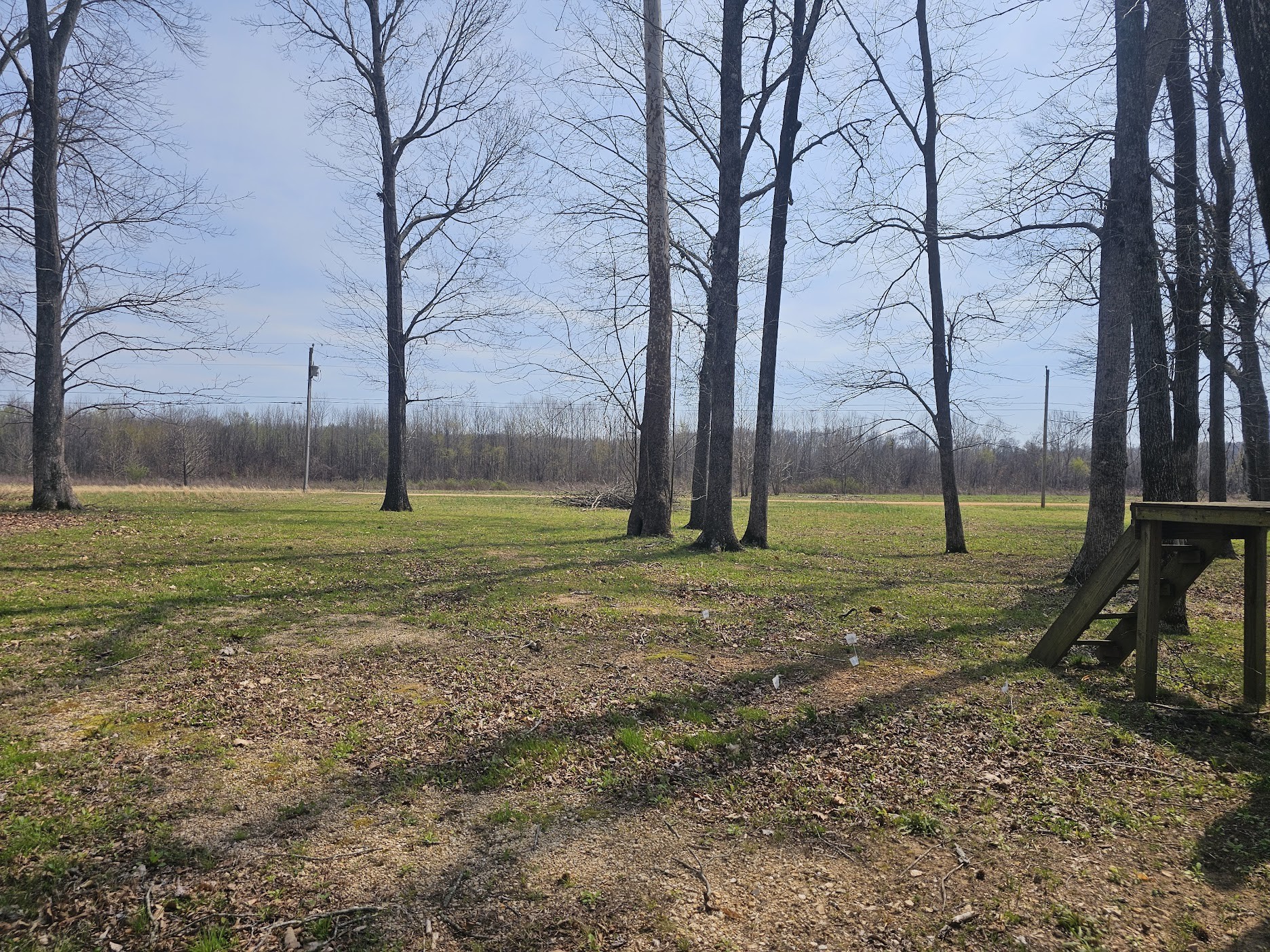 2615 Col James Hardin Road Clifton, TN 38425 - Photo 9 of 19 a view of a park