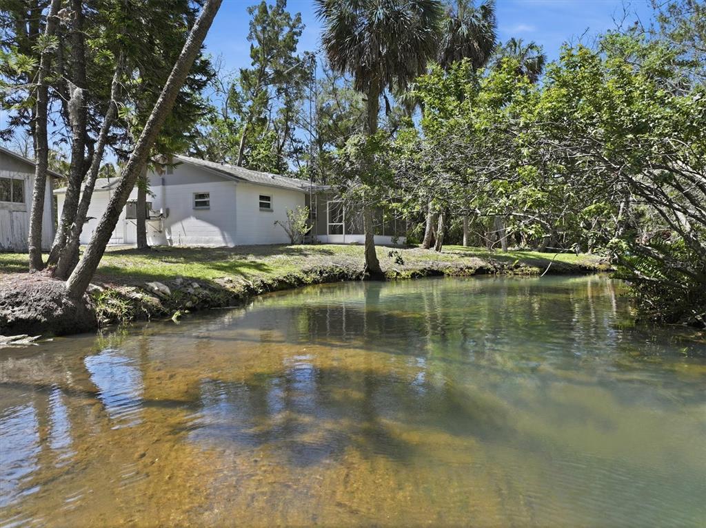 6244 Colony Circle Weeki Wachee, FL 34607 - Photo 17 of 60 a view of a house with a yard and a large tree