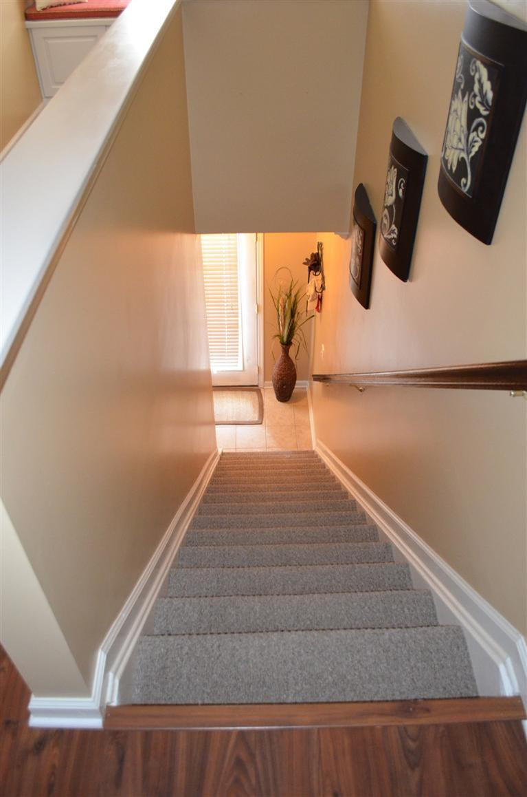 3857 Dylan Place Lexington, KY 40514 - Photo 15 of 16 Photo 15