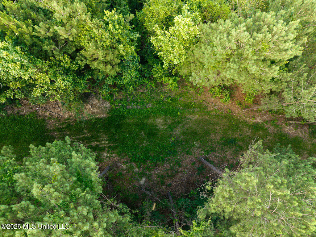 Trickhambridge Road Brandon, MS 39042 - Photo 24 of 30 dji_fly_20260610_165200_0205_17811285877