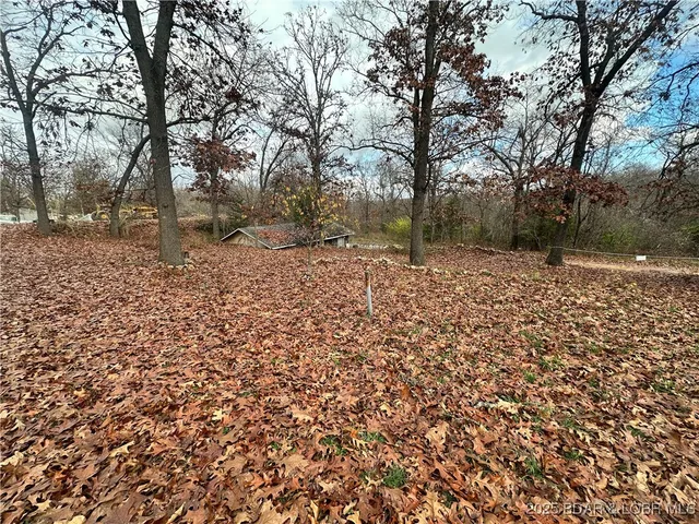 $44,900 | 30008 Skyview, Edwards, MO 65326