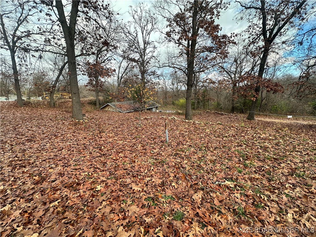 30008 Skyview Edwards, MO 65326 - Photo 19 of 39