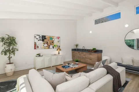 a living room with furniture and a potted plant