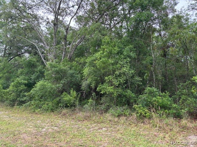 359 North Fitzpatrick Avenue Inverness, FL 34453 - Photo 5 of 7