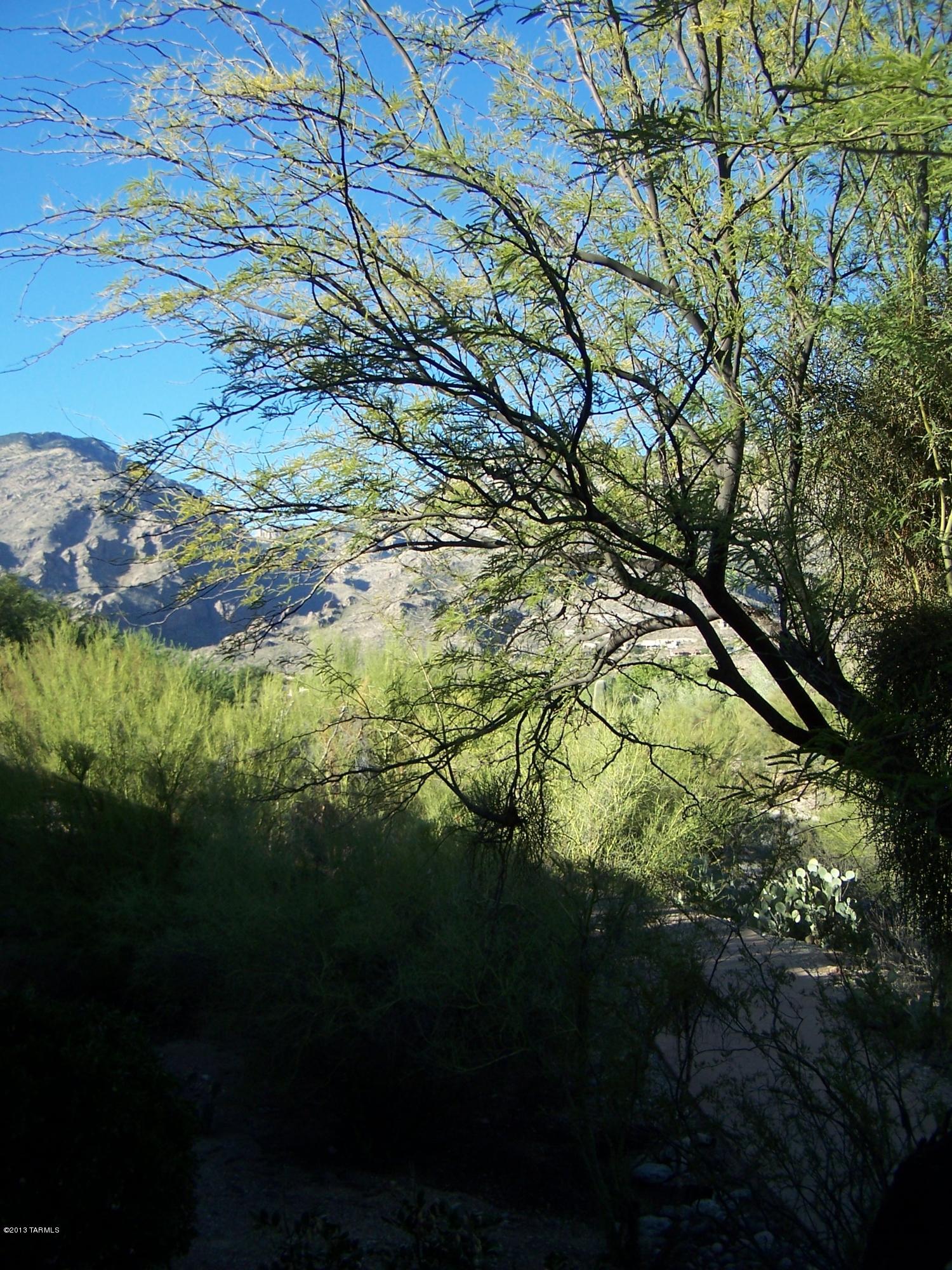 5855 North Kolb Road, Unit 12210 Tucson, AZ 85750 - Photo 9 of 16