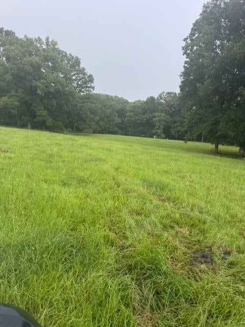 684 County Road Tupelo, MS 38801 - Photo 28 of 42 Gallery Image 28