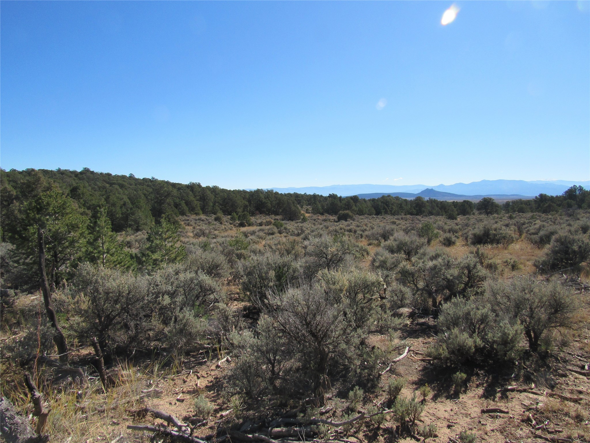 Lot 57 Servilleta Carson, NM 87517 - Photo 3 of 10
