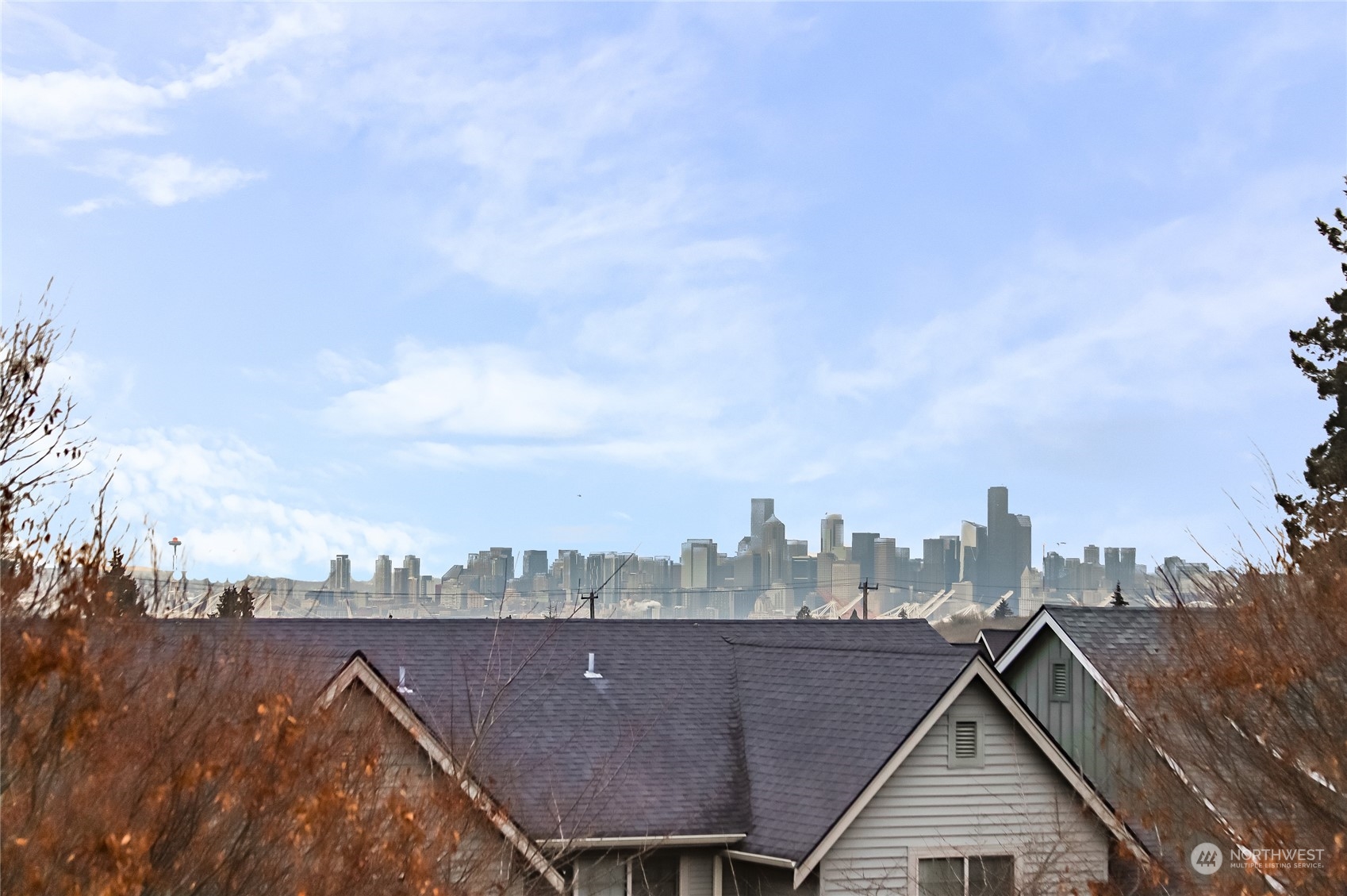 3117 Southwest Raymond Street Seattle, WA 98126 - Photo 23 of 36 a view of a city