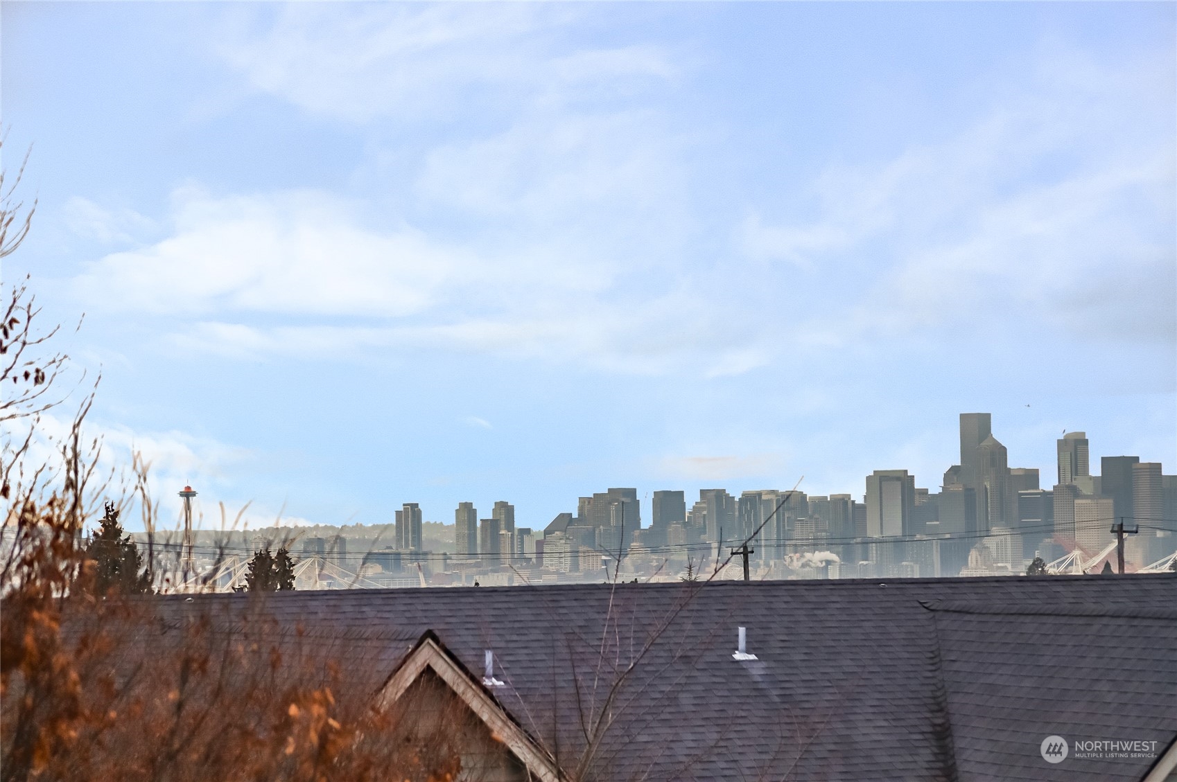 3117 Southwest Raymond Street Seattle, WA 98126 - Photo 24 of 36 a view of a city