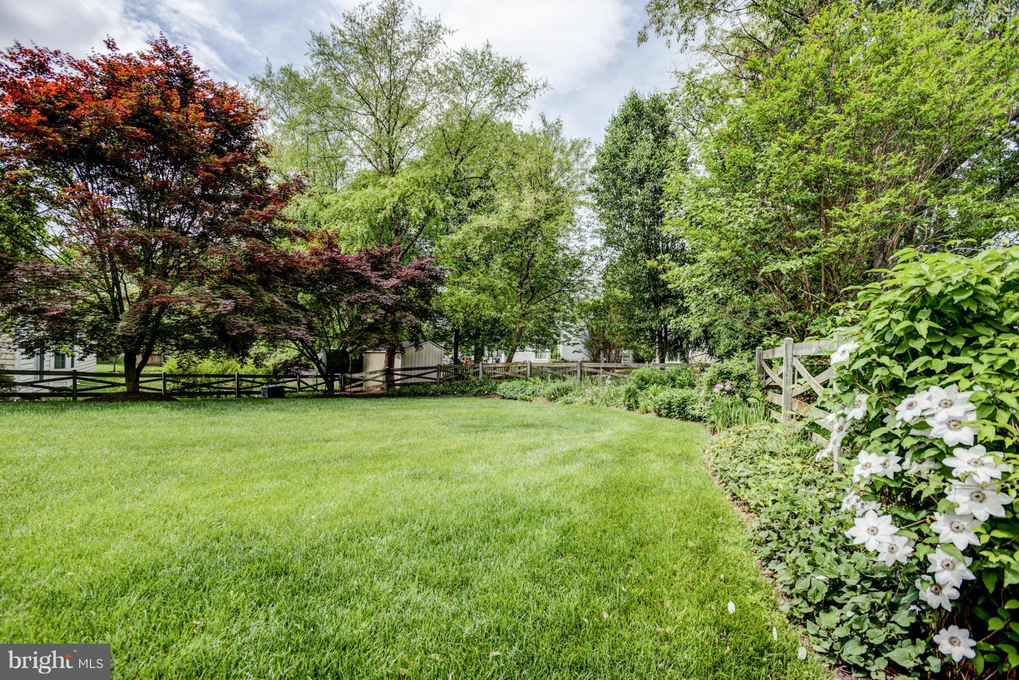 12545 Browns Ferry Road Herndon, VA 20170 - Photo 3 of 28 Rear Yard
