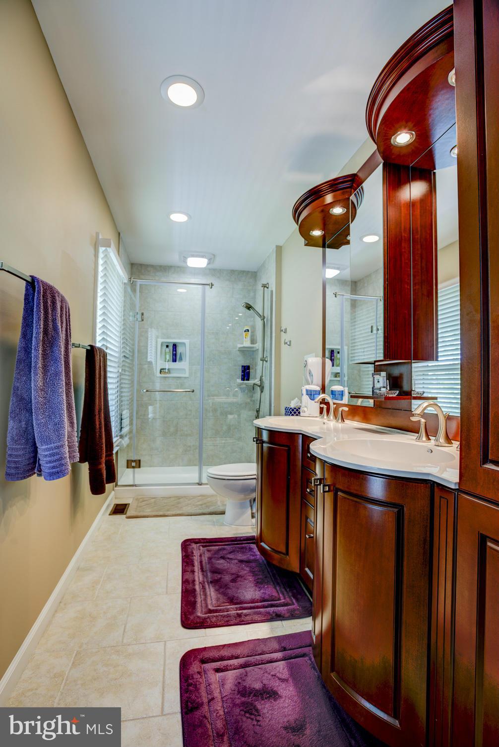 12545 Browns Ferry Road Herndon, VA 20170 - Photo 21 of 28 Bath (Master)