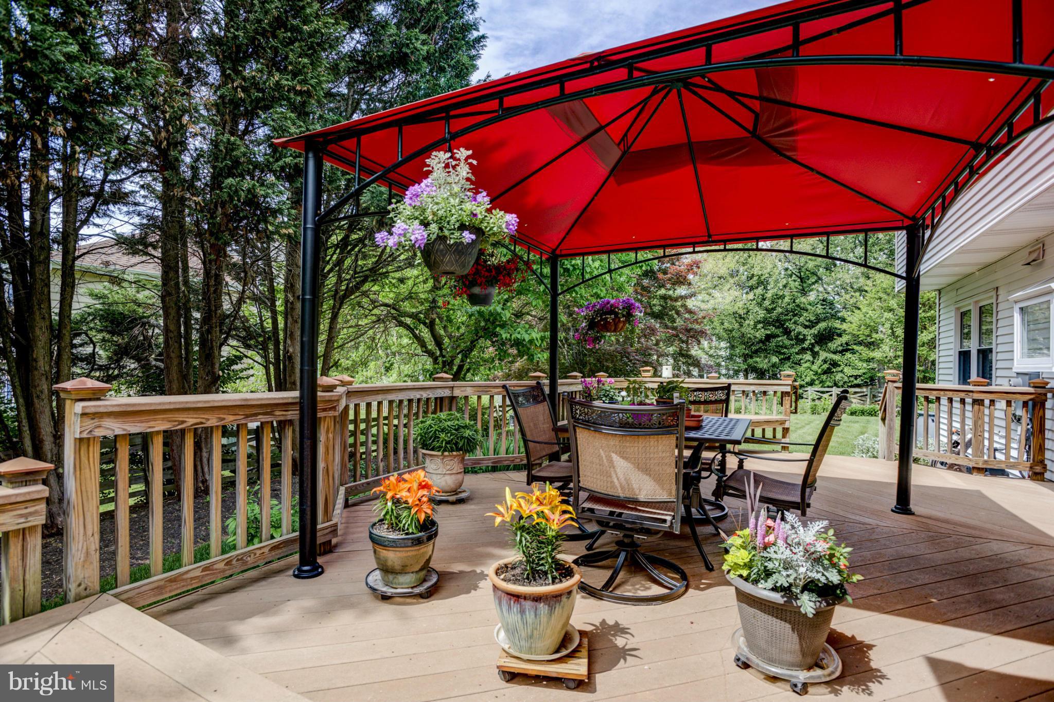 12545 Browns Ferry Road Herndon, VA 20170 - Photo 5 of 28 Rear Trex Deck