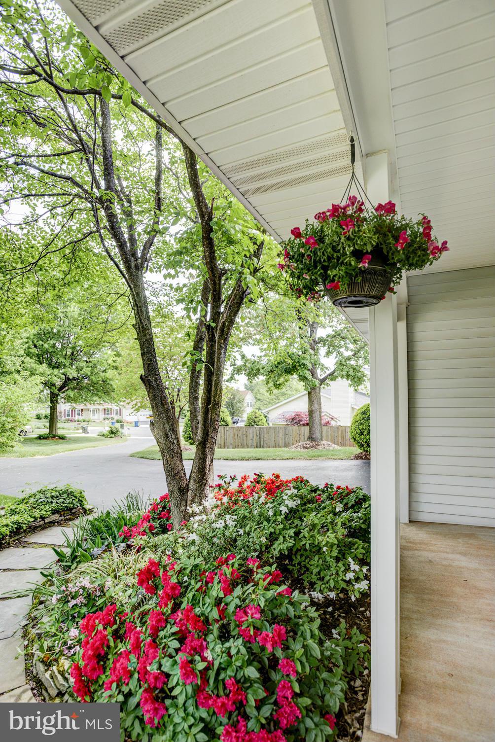 12545 Browns Ferry Road Herndon, VA 20170 - Photo 7 of 28 Front Porch