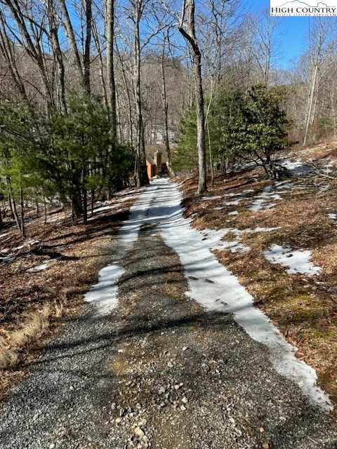 495 Rocky Top Lane Independence, VA 24348 - Photo 2 of 39 a view of a yard with trees