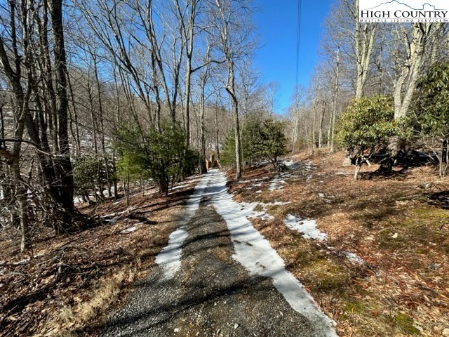 495 Rocky Top Lane Independence, VA 24348 - Photo 3 of 39 a view of a forest filled with trees