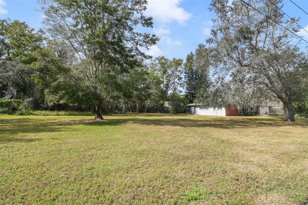 5150 Old Howell Branch Road Winter Park, FL 32792 - Photo 16 of 17 a view of a tree with a yard