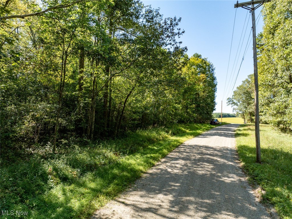 View of dirt / gravel road