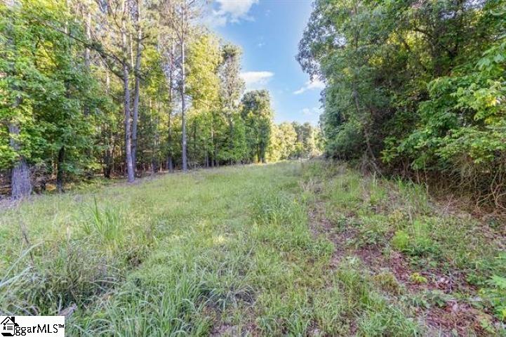 228 Hickory Ridge Road Townville, SC 29689 - Photo 4 of 12