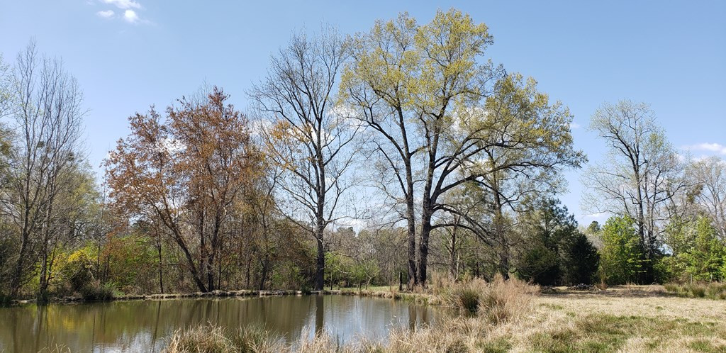 716 Augusta Road Edgefield, SC 29824 - Photo 20 of 27