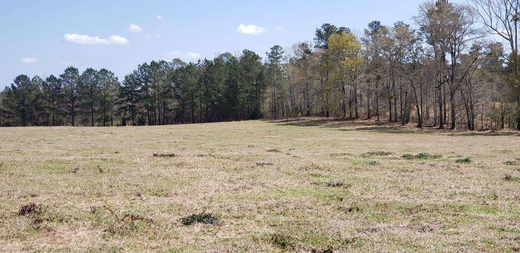 716 Augusta Road Edgefield, SC 29824 - Photo 7 of 27