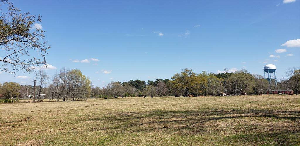 716 Augusta Road Edgefield, SC 29824 - Photo 8 of 27