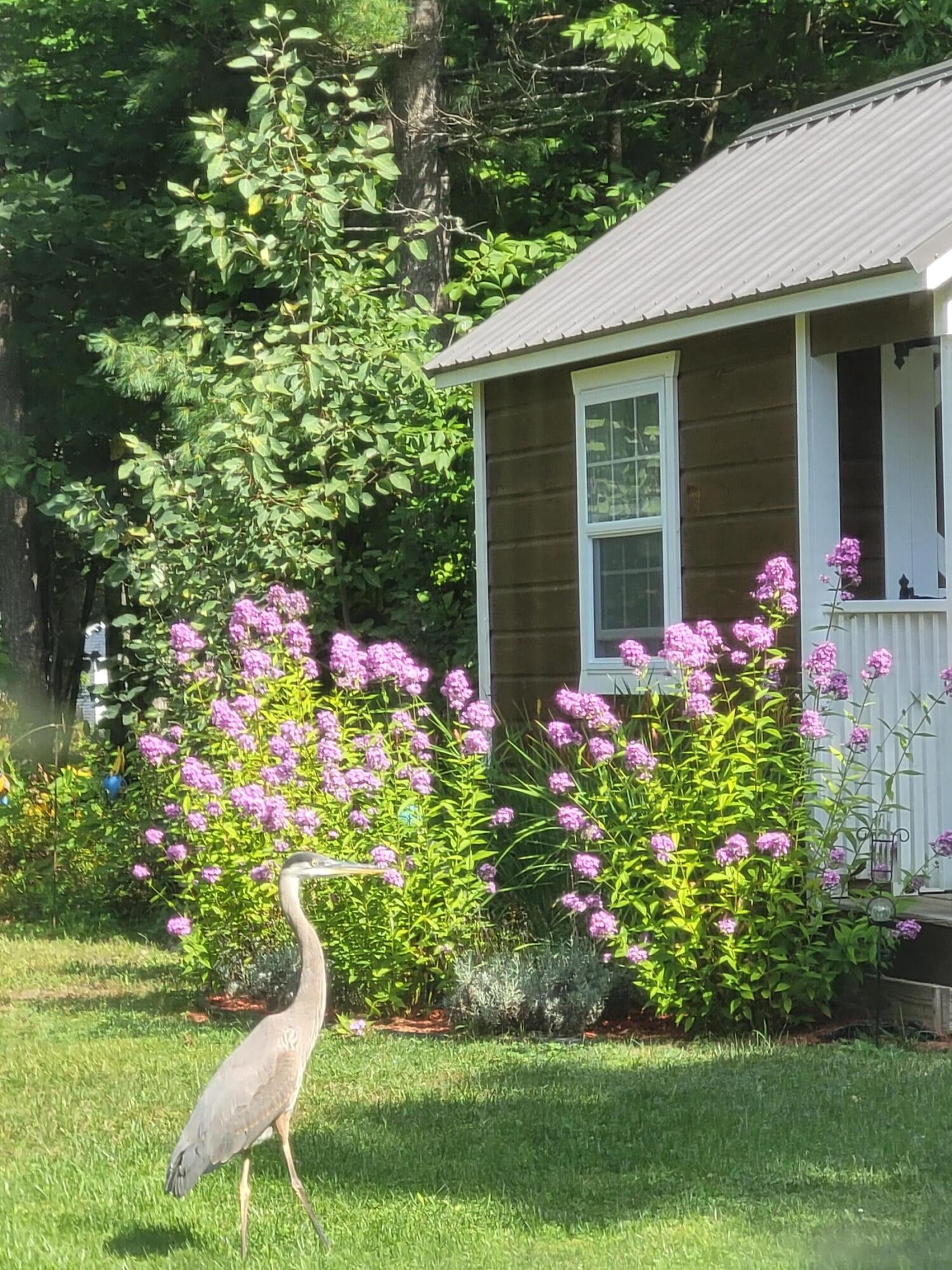 110 Minton Road Ossineke, MI 49766 - Photo 60 of 65 Bob Pic