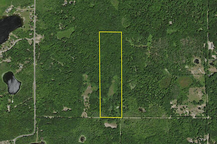 9257 5 Mile Road Hesperia, MI 49421 - Photo 12 of 29 Aerial 1