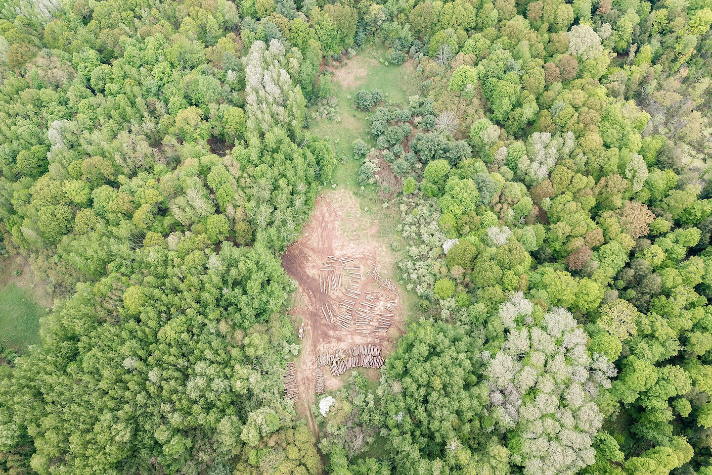 9257 5 Mile Road Hesperia, MI 49421 - Photo 15 of 29 DJI_0011