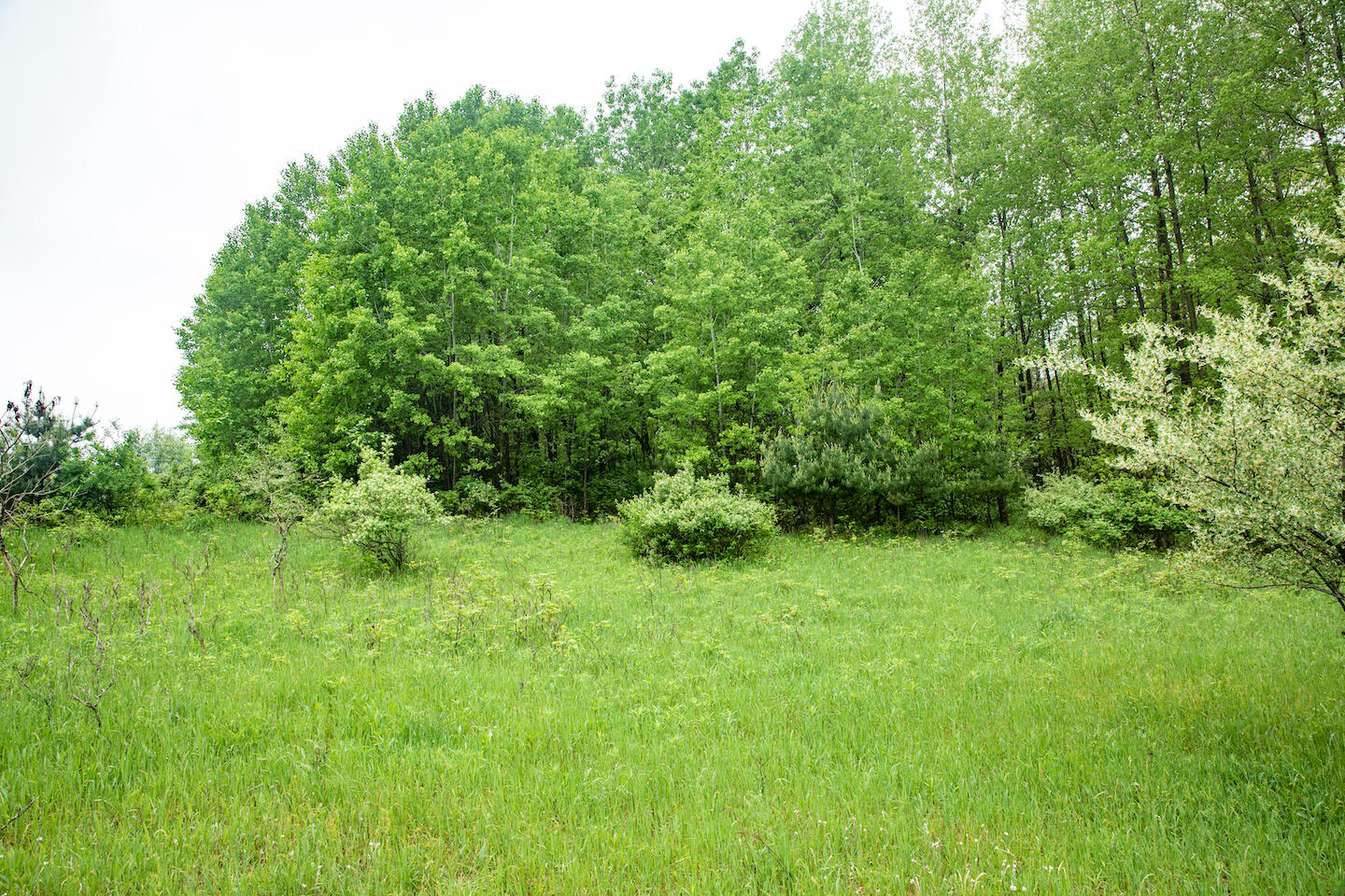 9257 5 Mile Road Hesperia, MI 49421 - Photo 17 of 29 JSO_6111