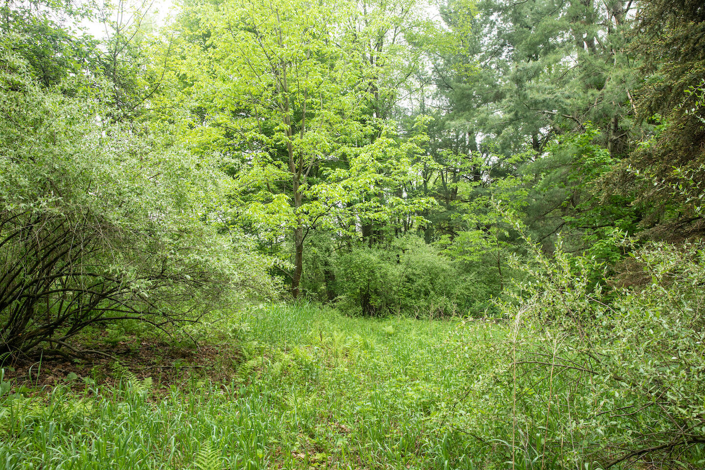 9257 5 Mile Road Hesperia, MI 49421 - Photo 20 of 29 JSO_6132