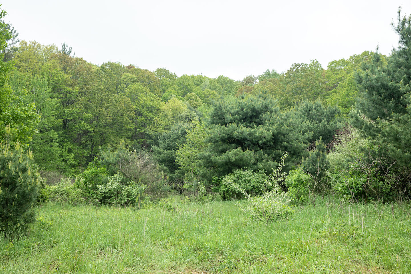 9257 5 Mile Road Hesperia, MI 49421 - Photo 23 of 29 JSO_6108